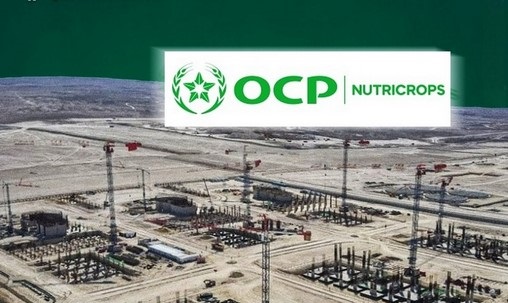 Jorf Lasfar | OCP Nutricrops franchit la barre des 5 millions de tonnes de TSP