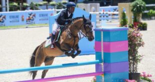Rabat | Coup d’envoi de la 40è édition de la Semaine du Cheval