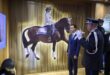 SAR le Prince Héritier Moulay El Hassan préside l’ouverture de la 16e édition du Salon du cheval d’El Jadida