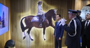 SAR le Prince Héritier Moulay El Hassan préside l'ouverture de la 16e édition du Salon du cheval d'El Jadida
