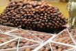 Campagne agricole 2025-2026 | La production prévisionnelle des dattes s’élève à 160.000 tonnes