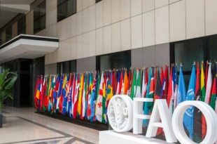 L'AMCI reçoit à Rome la distinction d'excellence technique de la FAO