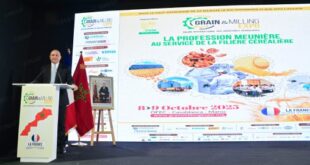 Industrie céréalière | Casablanca à l’heure du 10ème “Grain & Milling expo”