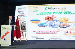 Industrie céréalière | Casablanca à l’heure du 10ème “Grain & Milling expo”