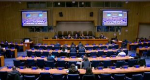 Devant l'ONU, des pétitionnaires dénoncent la collusion entre le Polisario et les groupes terroristes