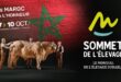 Le Maroc, premier pays africain invité d’honneur du 34e Sommet de l’élevage à Clermont-Ferrand