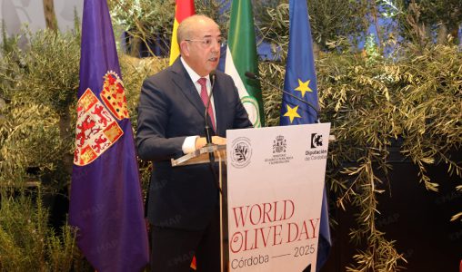 Cordoue | El Bouari souligne le rôle central de l’oléiculture dans le modèle agricole national