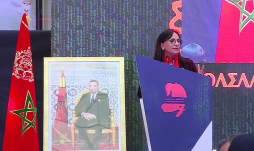 Le Conseil national des droits de l’Homme sensibilise à la cyberviolence féminine