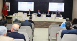 Le CESE parachève son exercice 2025 et fixe le cap de ses auto-saisines pour l'année à venir