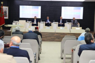 Le CESE parachève son exercice 2025 et fixe le cap de ses auto-saisines pour l'année à venir