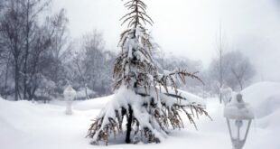 Météo Maroc | Chutes de neige, fortes pluies et fortes rafales de vent, mardi et mercredi