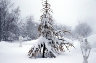 Météo Maroc | Chutes de neige, fortes pluies et fortes rafales de vent, mardi et mercredi