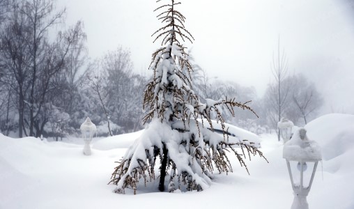 Météo Maroc | Chutes de neige, fortes pluies et fortes rafales de vent, mardi et mercredi