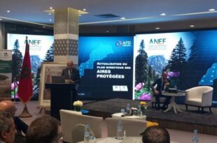 Le Maroc actualise son Plan Directeur des Aires Protégées et renforce sa stratégie pour la biodiversité