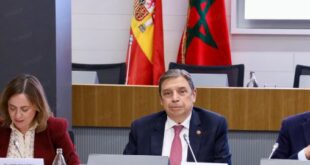 Les relations maroco-espagnoles, fondées sur des intérêts communs et la coopération (M. Planas)