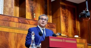 Agriculture solidaire | 183 projets élaborés et approuvés entre 2021 et 2025 (M. Akhannouch)