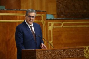 Le succès de l’organisation de la CAN est le fruit d’une Vision Royale Stratégique (Akhannouch)