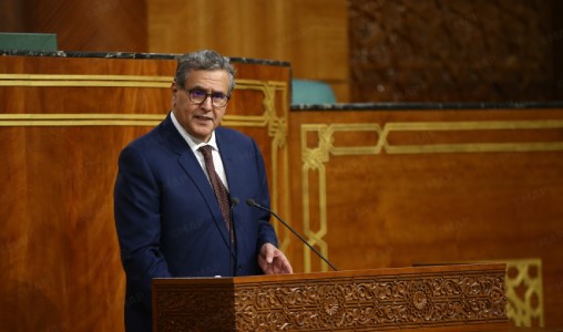 Le succès de l’organisation de la CAN est le fruit d’une Vision Royale Stratégique (Akhannouch)