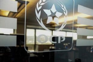 L'AIEA et le groupe OCP s'unissent pour innover en faveur d'une agriculture durable