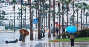 Alertes météo | Averses orageuses et rafales de vent prévues pour lundi et mardi