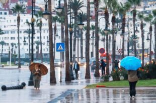 Alertes météo | Averses orageuses et rafales de vent prévues pour lundi et mardi