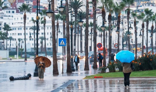 Alertes météo | Averses orageuses et rafales de vent prévues pour lundi et mardi