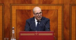 Les récentes précipitations améliorent les perspectives de production agricole (M. El Bouari)