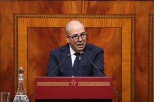 Les récentes précipitations améliorent les perspectives de production agricole (M. El Bouari)