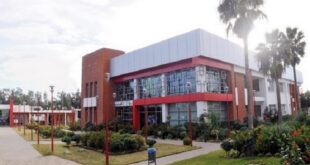 Maroc | 100.776 entreprises créées à fin novembre 2025 selon l'OMPIC