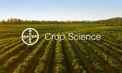 Agriculture | Bayer Crop Science North Africa tient sa convention annuelle 2026 à Marrakech