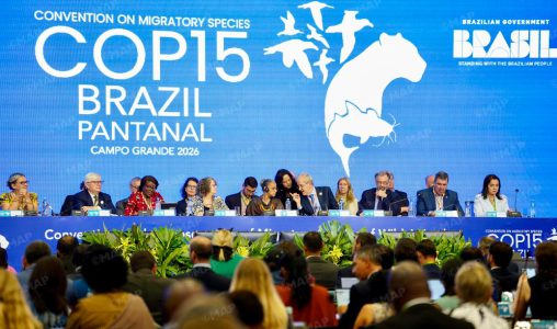Le Brésil accueille la COP15 sur les espèces migratrices avec la participation du Maroc