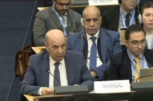 CDH | M. Zniber met en avant les stratégies royales de réduction des disparités sociales et spatiales