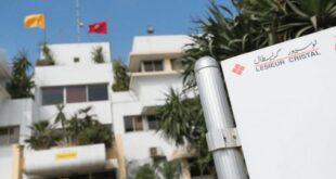 Lesieur Cristal | Le résultat net part du groupe consolidé de 8 MDH en 2025