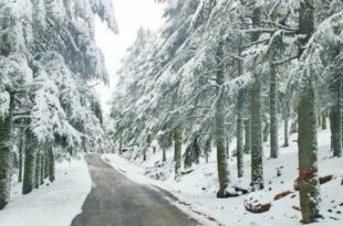 Chutes de neige, averses orageuses, fortes rafales de vent et temps froid, de lundi à jeudi