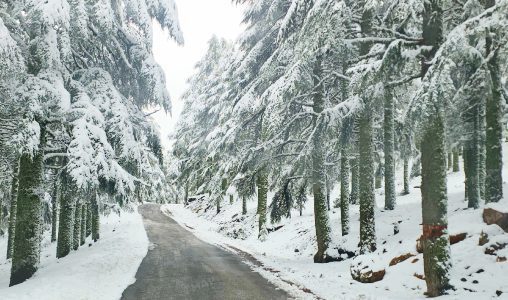 Chutes de neige, averses orageuses, fortes rafales de vent et temps froid, de lundi à jeudi