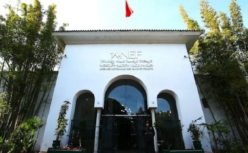 Pêche continentale | La saison 2026-2027 s’ouvre ce dimanche 8 mars (ANEF)