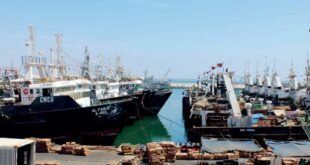 Pêche maritime | Nouvelles décisions ministérielles sur le zoning des chalutiers côtiers et des palangriers