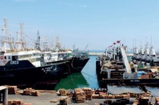 Pêche maritime | Nouvelles décisions ministérielles sur le zoning des chalutiers côtiers et des palangriers