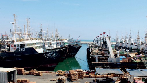 Pêche maritime | Nouvelles décisions ministérielles sur le zoning des chalutiers côtiers et des palangriers