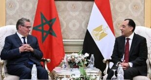 L’Égypte réaffirme son soutien à la dernière résolution du Conseil de sécurité sur le Sahara marocain