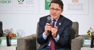 Transformation agroalimentaire | Le Maroc, référence pour la coopération Sud-Sud (FAO)