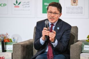 Transformation agroalimentaire | Le Maroc, référence pour la coopération Sud-Sud (FAO)