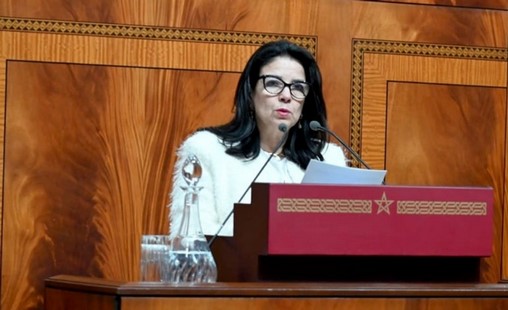 Plus de 10.690 zones couvertes par les services de télécommunications haut débit (Seghrouchni)