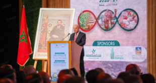 M. El Bouari | Près de 90 Mqx attendus pour la récolte céréalière 2025-2026