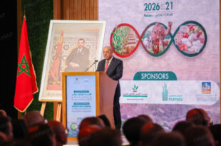 M. El Bouari | Près de 90 Mqx attendus pour la récolte céréalière 2025-2026