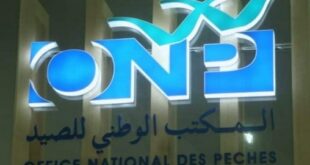 Pêche | Plus de 3,11 MMDH de produits commercialisés à fin mars (ONP)