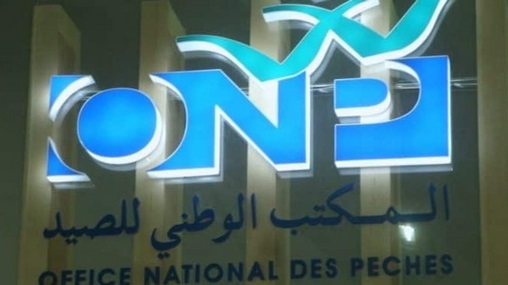 Pêche | Plus de 3,11 MMDH de produits commercialisés à fin mars (ONP)