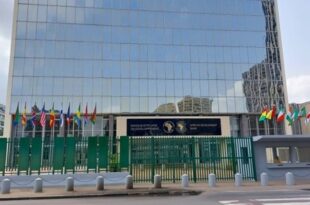 Maroc | La BAD accompagne la transition vers une agriculture plus intelligente et durable