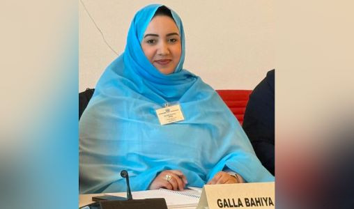 Sahara (C24) | L&rsquo;autonomie sous souveraineté marocaine s&rsquo;impose comme le cadre exclusif soutenu par la communauté internationale (Ghalla Bahiya)