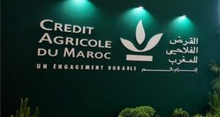 Inclusion financière des femmes rurales | Le CAM, la BERD et le Groupement AT Saïss s’associent